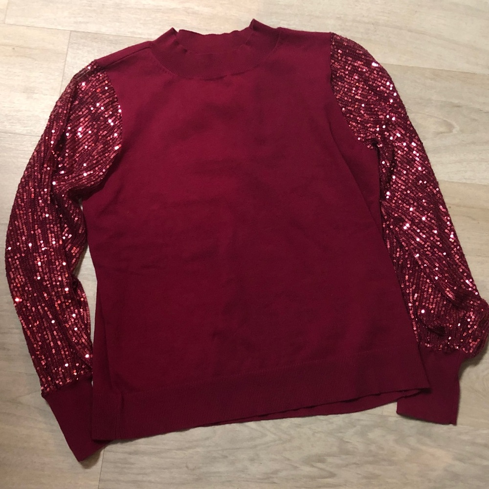 Cranberry Sweater with Sequin Sleeves